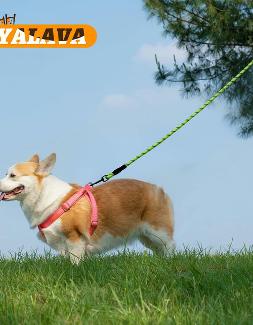 Load image into Gallery viewer, YALAVA Dog Leash 4FT Heavy Duty Reflective Nylon Rope 360° Swivel Hook Black
