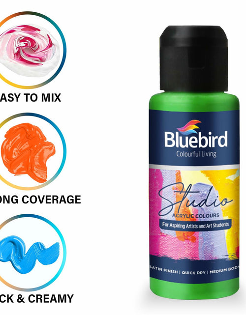 Load image into Gallery viewer, BLUEBIRD Studio Pearlescent Acrylic Paints 6-Pack 0.85oz Each

