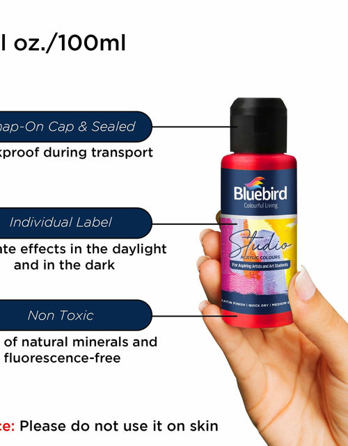 Load image into Gallery viewer, BLUEBIRD Studio Pearlescent Acrylic Paints 6-Pack 0.85oz Each
