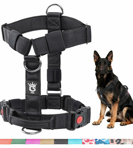 TSPRO Heavy Duty Tactical Dog Harness Adjustable Soft Handle Purple Size L