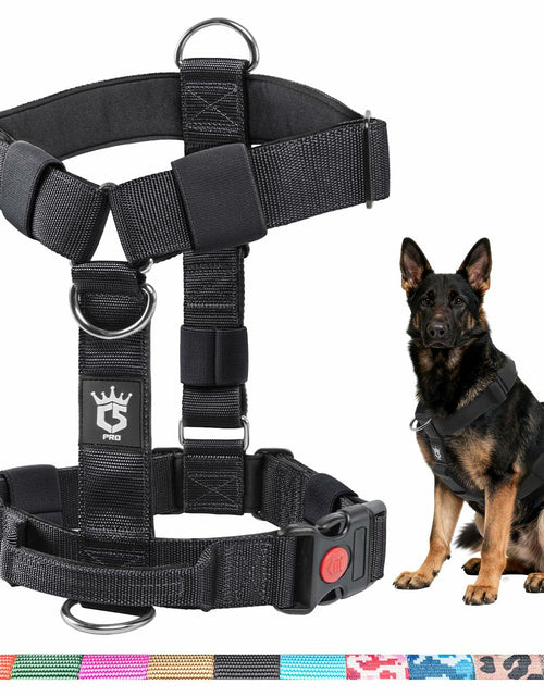 Load image into Gallery viewer, TSPRO Heavy Duty Tactical Dog Harness Adjustable Soft Handle Purple Size L
