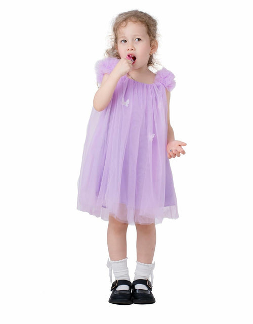 Load image into Gallery viewer, QB Baby Girl Dress Vintage Lace Collar Tulle Skirt Purple Butterfly 12M
