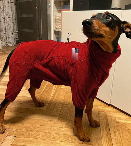 kims cosiart Polar Fleece Dog Jacket Windproof Warm Padded Coat Red Size S