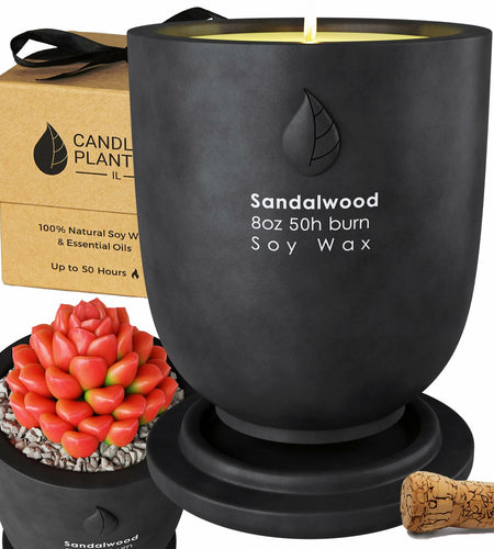 Matani Concrete Cement Candle Planter Aromatherapy Soy Black Sandalwood 3.1x4in
