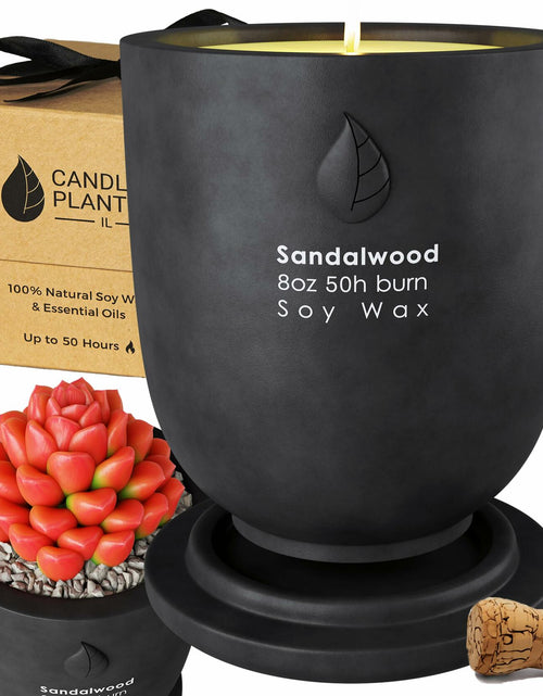 Load image into Gallery viewer, Matani Concrete Cement Candle Planter Aromatherapy Soy Black Sandalwood 3.1x4in
