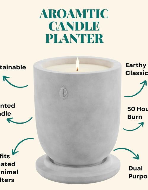 Load image into Gallery viewer, Matani Concrete Cement Candle Planter Aromatherapy Soy Black Sandalwood 3.1x4in
