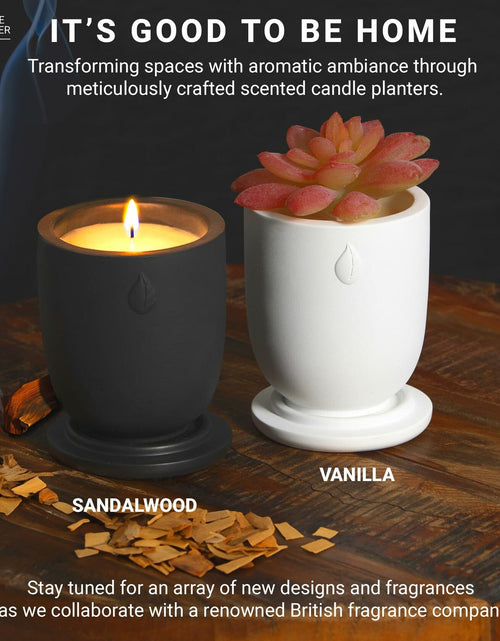 Load image into Gallery viewer, Matani Concrete Cement Candle Planter Aromatherapy Soy Black Sandalwood 3.1x4in
