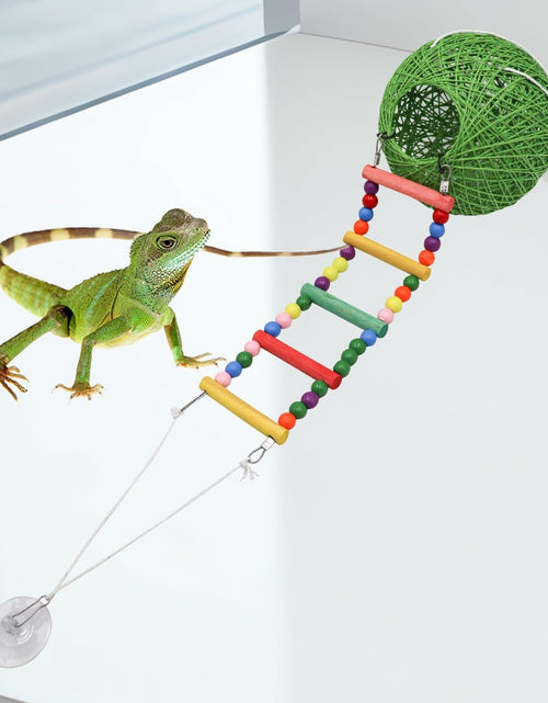 Load image into Gallery viewer, Neeenn Reptile Takraw Ball Hideout Climbing Toy Ladder Tank Decor
