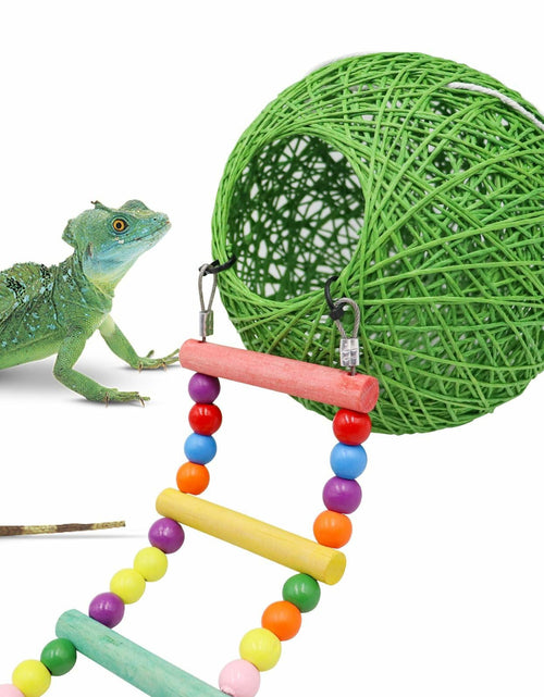 Load image into Gallery viewer, Neeenn Reptile Takraw Ball Hideout Climbing Toy Ladder Tank Decor
