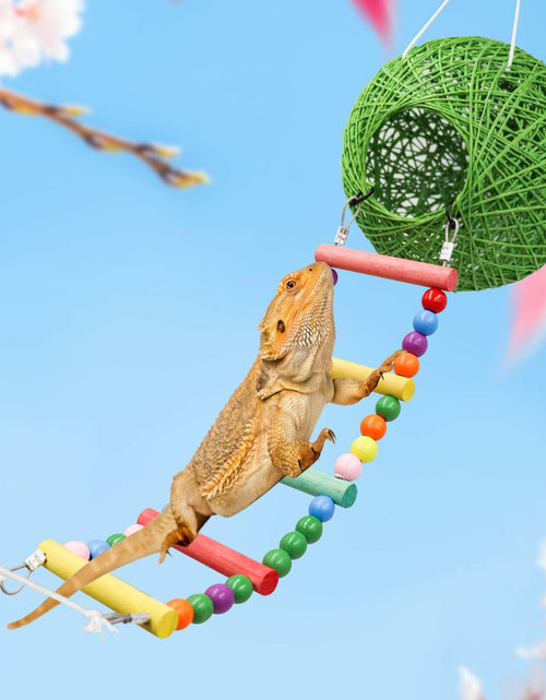 Load image into Gallery viewer, Neeenn Reptile Takraw Ball Hideout Climbing Toy Ladder Tank Decor
