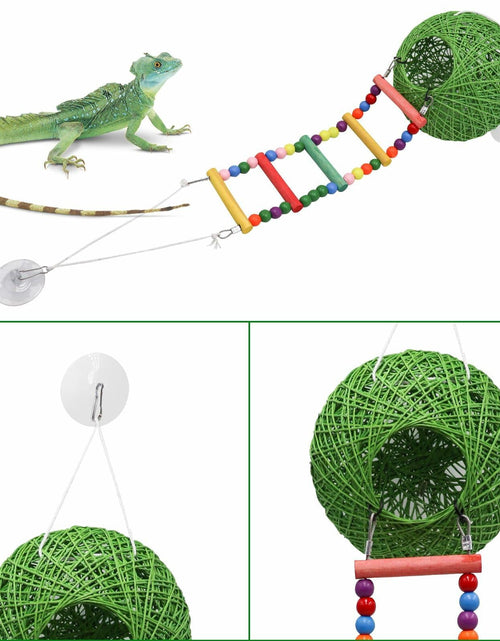 Load image into Gallery viewer, Neeenn Reptile Takraw Ball Hideout Climbing Toy Ladder Tank Decor
