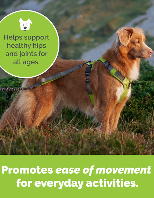 Load image into Gallery viewer, Dog Joint Support Powder – Beef Flavor Hip &amp; Joint Supplement with Glucosamine
