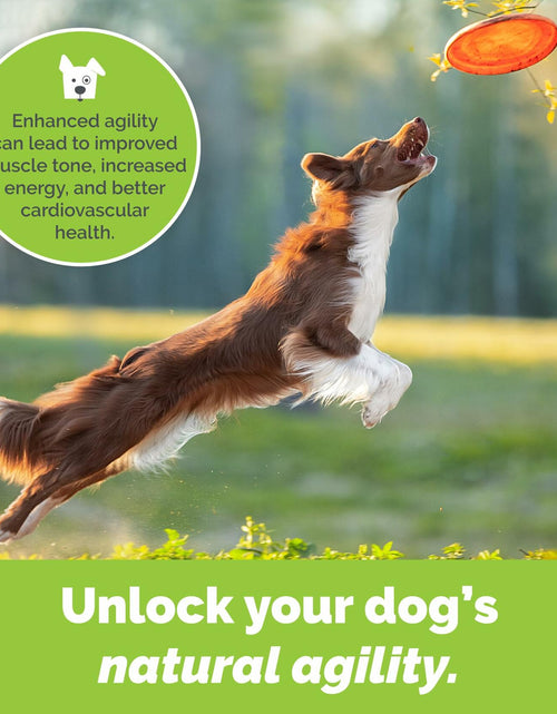 Load image into Gallery viewer, Dog Joint Support Powder – Beef Flavor Hip &amp; Joint Supplement with Glucosamine
