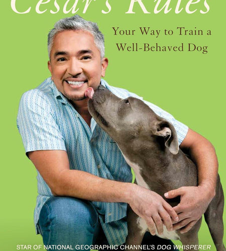 Cesar's Rules: Your Way to Train a Well-Behaved Dog OPEN BOX