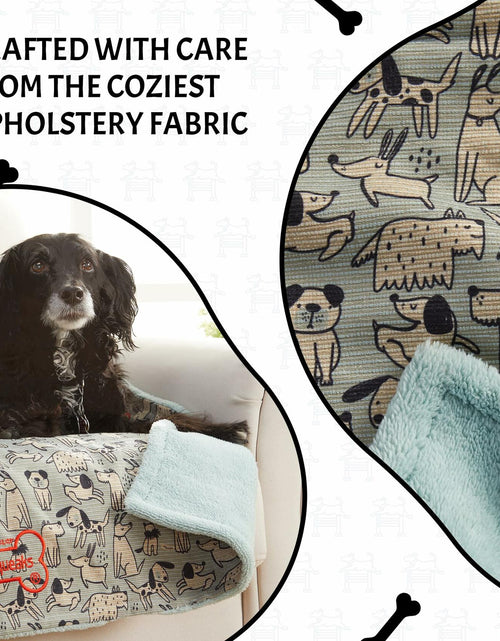 Load image into Gallery viewer, Squiggy Squeaks Dog &amp; Cat Sleep Play Blanket Squeaky Toy 22x27in Blue/Green
