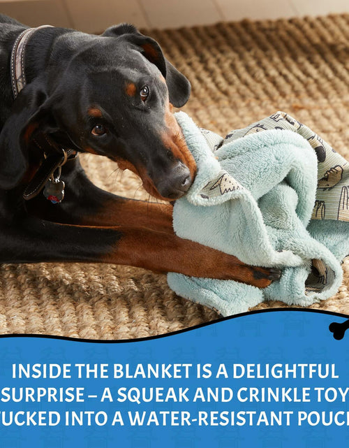 Load image into Gallery viewer, Squiggy Squeaks Dog &amp; Cat Sleep Play Blanket Squeaky Toy 22x27in Blue/Green
