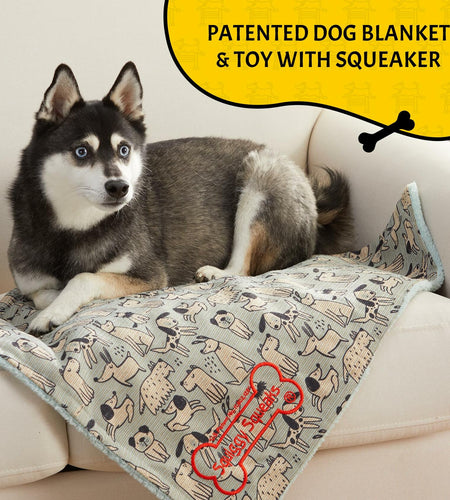 Squiggy Squeaks Dog & Cat Sleep Play Blanket Squeaky Toy 22x27in Blue/Green