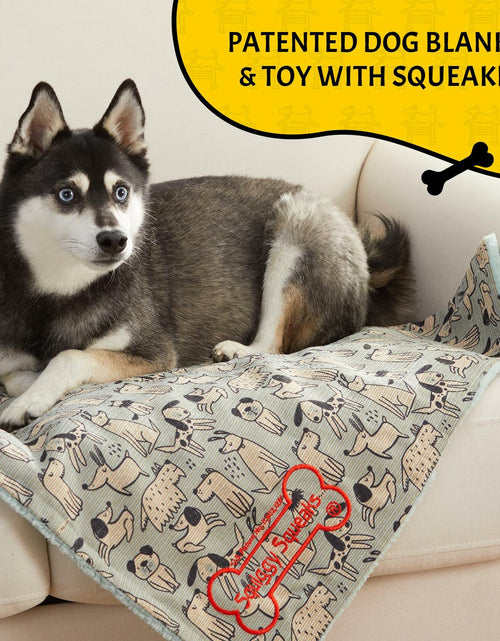 Load image into Gallery viewer, Squiggy Squeaks Dog &amp; Cat Sleep Play Blanket Squeaky Toy 22x27in Blue/Green
