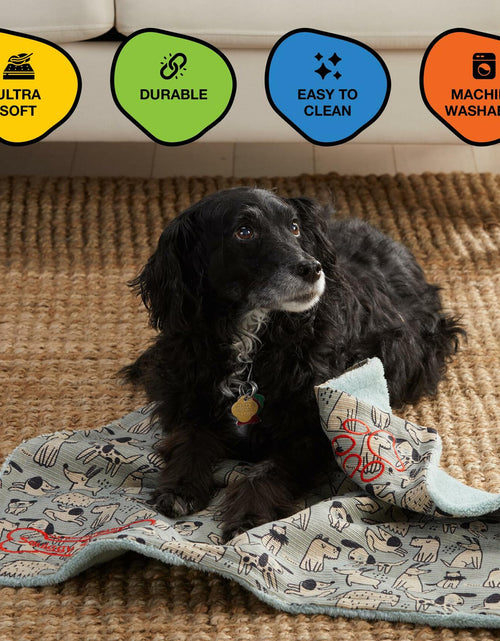 Load image into Gallery viewer, Squiggy Squeaks Dog &amp; Cat Sleep Play Blanket Squeaky Toy 22x27in Blue/Green

