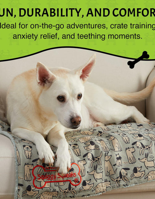Load image into Gallery viewer, Squiggy Squeaks Dog &amp; Cat Sleep Play Blanket Squeaky Toy 22x27in Blue/Green
