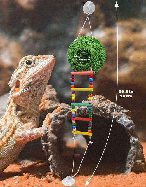 Load image into Gallery viewer, Neeenn Reptile Takraw Ball Hideout Climbing Toy Ladder Tank Decor
