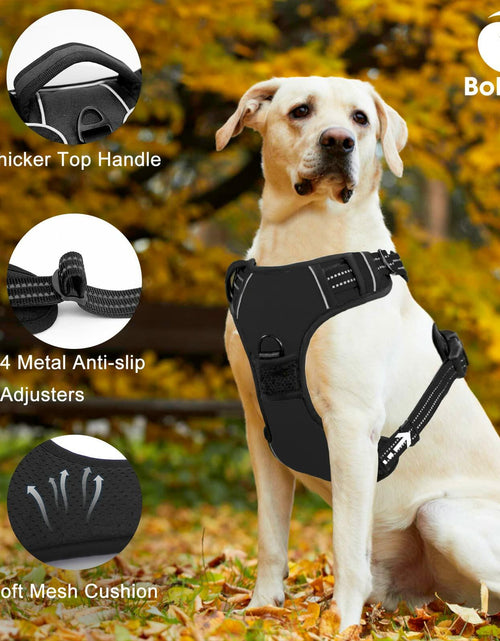 Load image into Gallery viewer, No Pull Dog Harness Adjustable Reflective Front Clip Padded Black Size L
