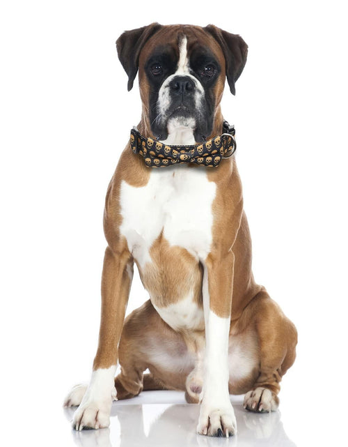 Load image into Gallery viewer, Lamphyface Halloween Dog Collar with Removable Cute Bow Tie Adjustable Cotton L
