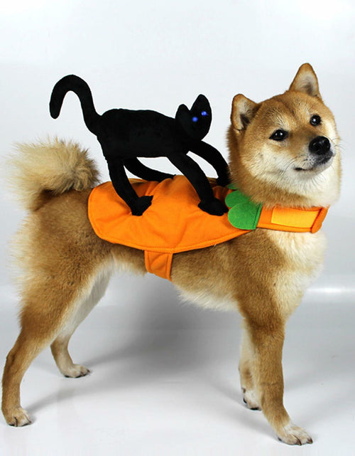 Load image into Gallery viewer, stepsin Dog Saddle Halloween Costume Cat Riding Pet Clothes Small Medium
