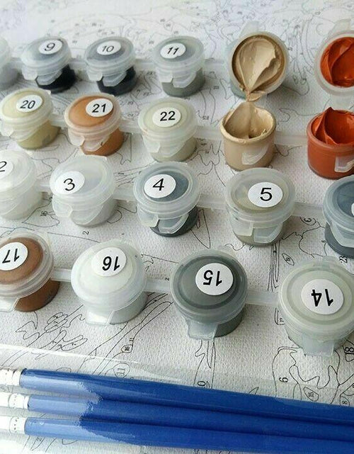 Load image into Gallery viewer, cupmod Vintage Sport Paint by Numbers Kit Retro Tennis 16x20 inch
