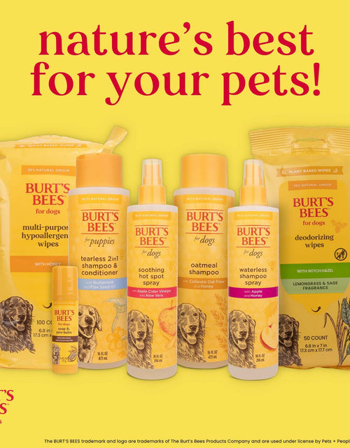 Load image into Gallery viewer, Burt's Bees Pets Eye &amp; Ear Cleansing Wipes Fragrance-Free 100 Count
