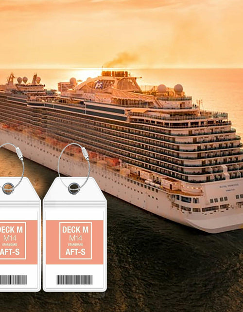Load image into Gallery viewer, 10 Pack Princess Clear Luggage Tag Holders with Steel Loops for Cruise Ships
