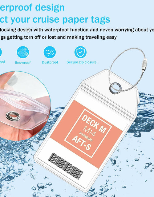 Load image into Gallery viewer, 10 Pack Princess Clear Luggage Tag Holders with Steel Loops for Cruise Ships
