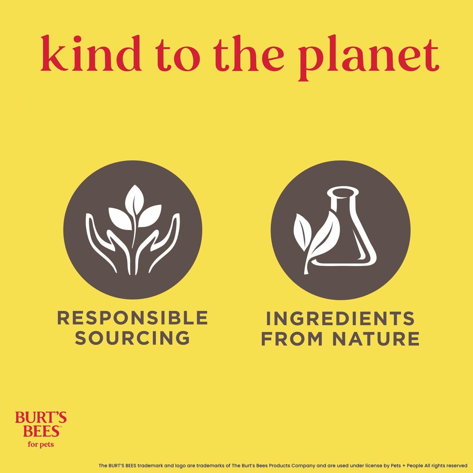 Burt's Bees Pets Eye & Ear Cleansing Wipes Fragrance-Free 100 Count
