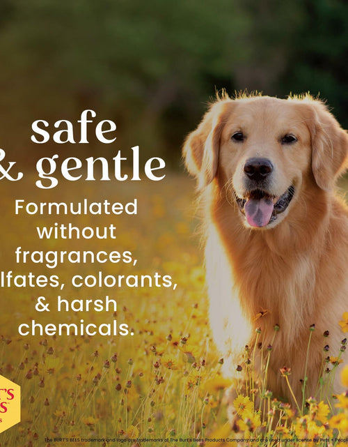Load image into Gallery viewer, Burt's Bees Pets Eye &amp; Ear Cleansing Wipes Fragrance-Free 100 Count
