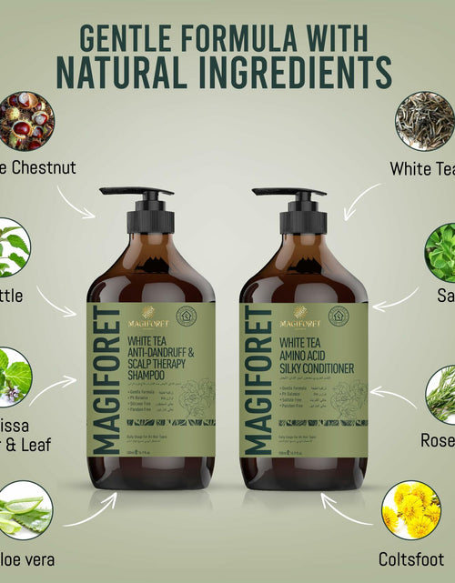Load image into Gallery viewer, MagiForet Anti-Dandruff Shampoo &amp; Conditioner Set 2x500ml Dry Flaky Scalp
