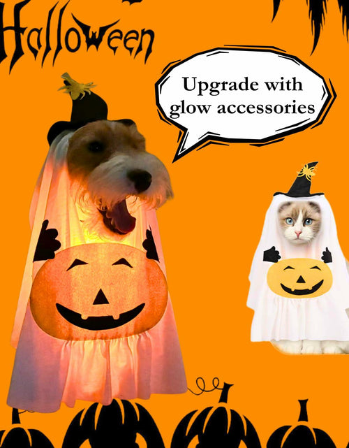 Load image into Gallery viewer, Dog Cat Halloween Pumpkin Ghost Costume Funny Cute Pet Outfit Medium
