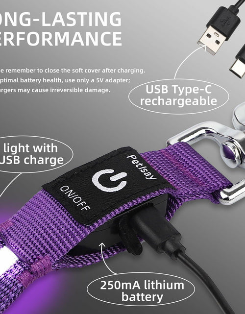 Load image into Gallery viewer, PetIsay Light-Up Dog Leash 6FT USB-C Rechargeable Waterproof White
