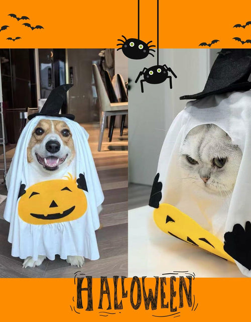 Load image into Gallery viewer, Dog Cat Halloween Pumpkin Ghost Costume Funny Cute Pet Outfit Medium
