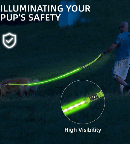 PetIsay Light-Up Dog Leash 6FT USB-C Rechargeable Waterproof White