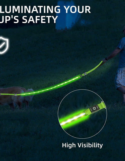 Load image into Gallery viewer, PetIsay Light-Up Dog Leash 6FT USB-C Rechargeable Waterproof White
