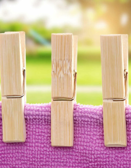 Load image into Gallery viewer, Mini Wooden Clothespins 20PCS Bamboo Clothes Pins Spring Clips Windproof
