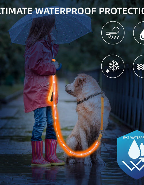 Load image into Gallery viewer, PetIsay Light-Up Dog Leash 6FT USB-C Rechargeable Waterproof White
