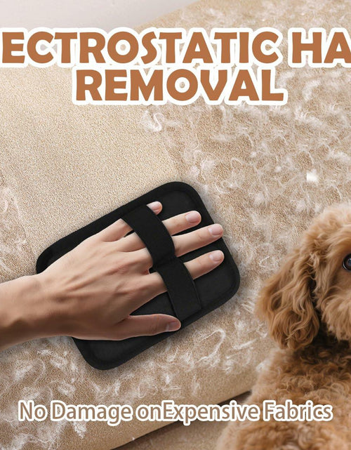 Load image into Gallery viewer, DLIOJHL Pet Hair Removal Gloves Cat &amp; Dog Hair Cleaner Black Red
