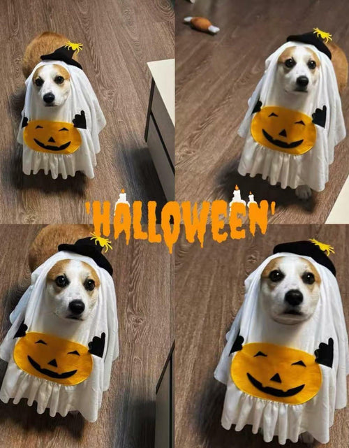 Load image into Gallery viewer, Dog Cat Halloween Pumpkin Ghost Costume Funny Cute Pet Outfit Medium

