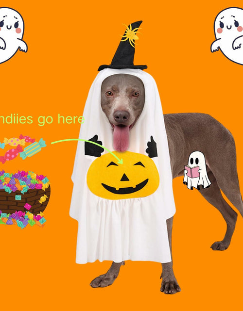 Load image into Gallery viewer, Dog Cat Halloween Pumpkin Ghost Costume Funny Cute Pet Outfit Medium
