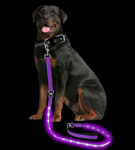 PetIsay Light-Up Dog Leash 6FT USB-C Rechargeable Waterproof White