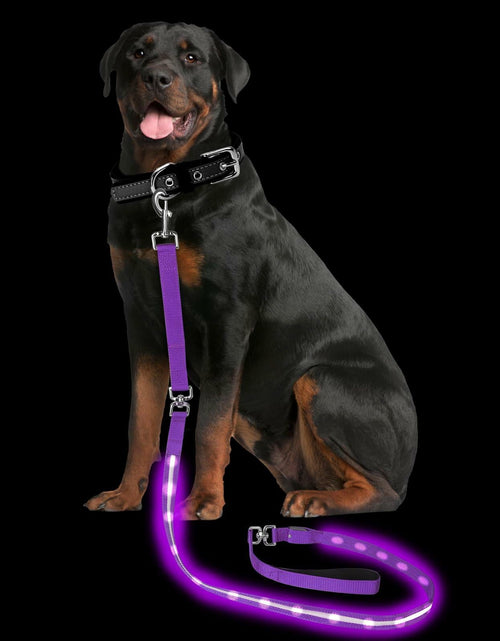 Load image into Gallery viewer, PetIsay Light-Up Dog Leash 6FT USB-C Rechargeable Waterproof White
