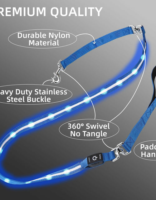 Load image into Gallery viewer, PetIsay Light-Up Dog Leash 6FT USB-C Rechargeable Waterproof White
