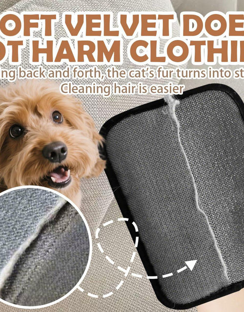 Load image into Gallery viewer, DLIOJHL Pet Hair Removal Gloves Cat &amp; Dog Hair Cleaner Black Red
