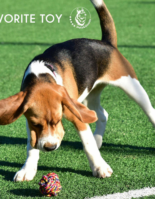 Load image into Gallery viewer, Pets&amp;Goods Rope Dog Toys 13-Pack Durable Cotton Chew Tug Toys
